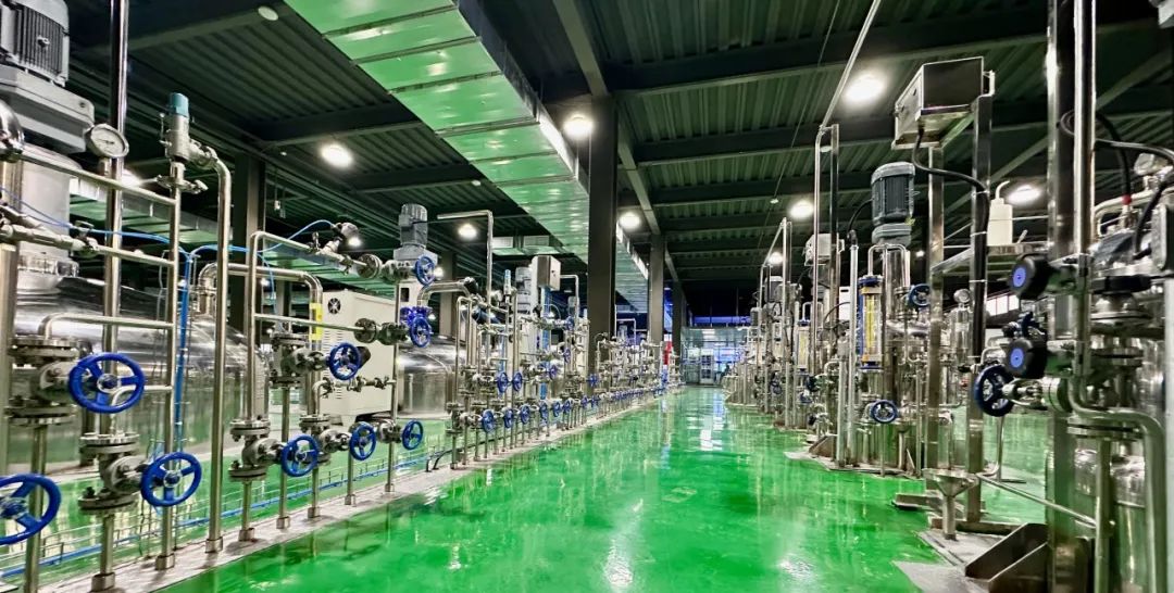 DeepSeek话说ky开元生物